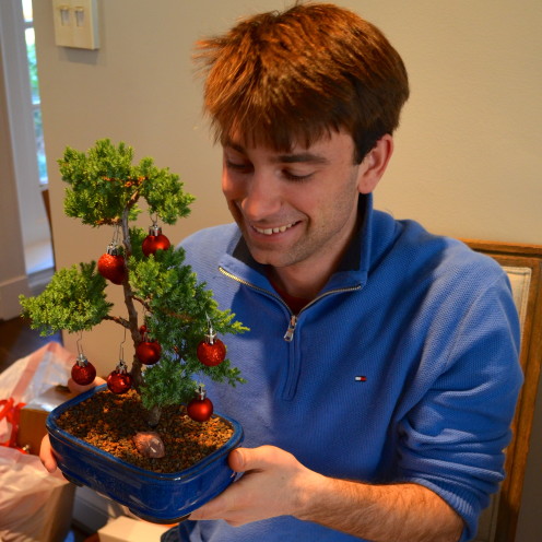 A Visit with a 388 Year Old Bonsai Tree,www.AfterOrangeCounty.com