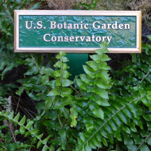 Exploring the U.S. Botanic Garden, by www.AfterOrangeCounty.com