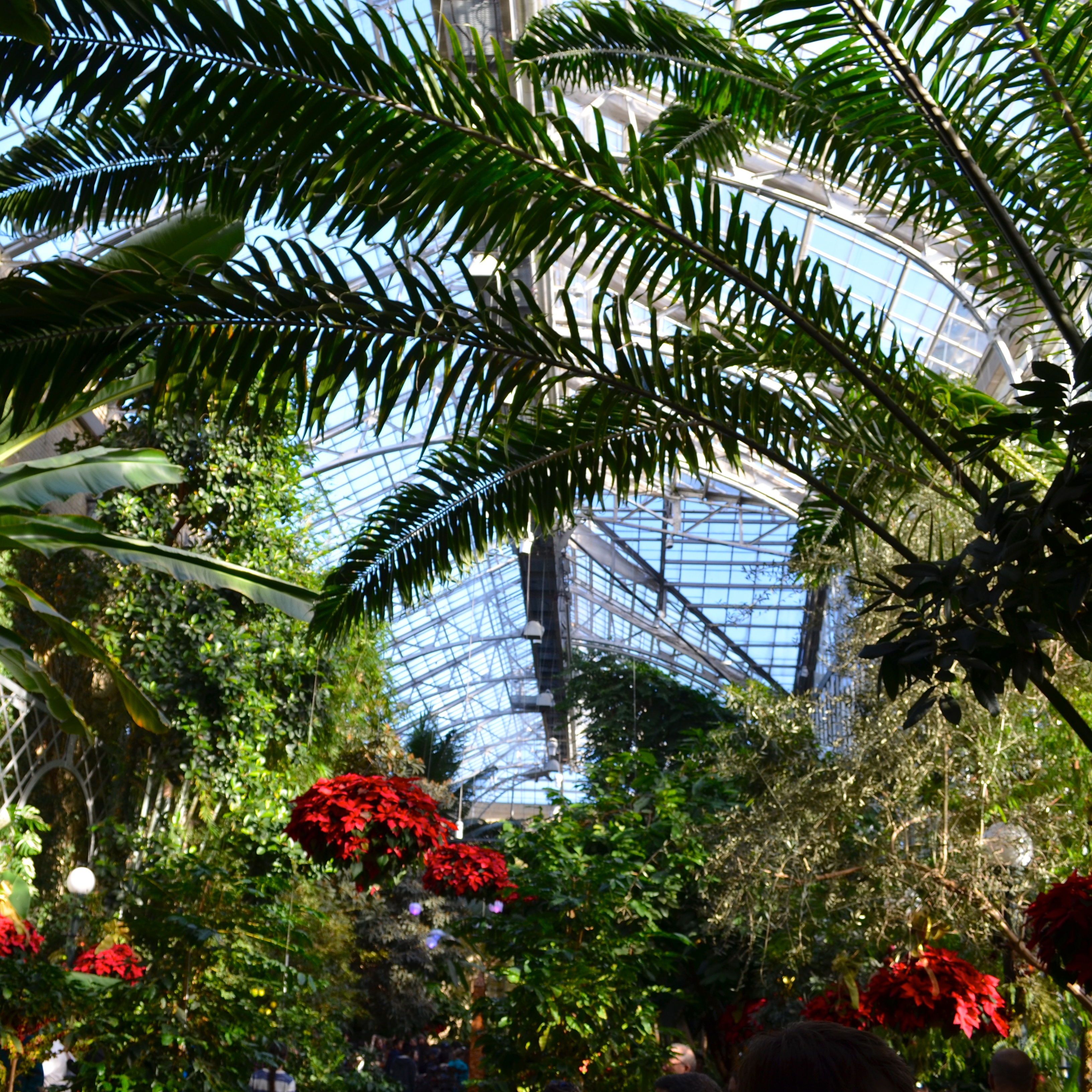 Visiting The U S Botanic Garden Conservatory Washington Dc