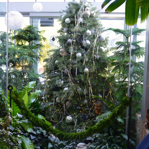 Exploring the U.S. Botanic Garden at Christmas, by www.AfterOrangeCounty.com