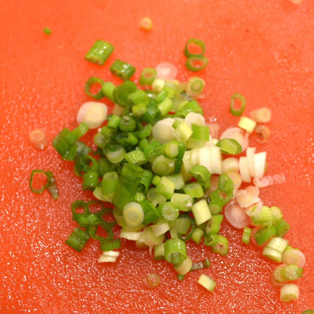 PORTABELLA MUSHROOM CARPACCIO