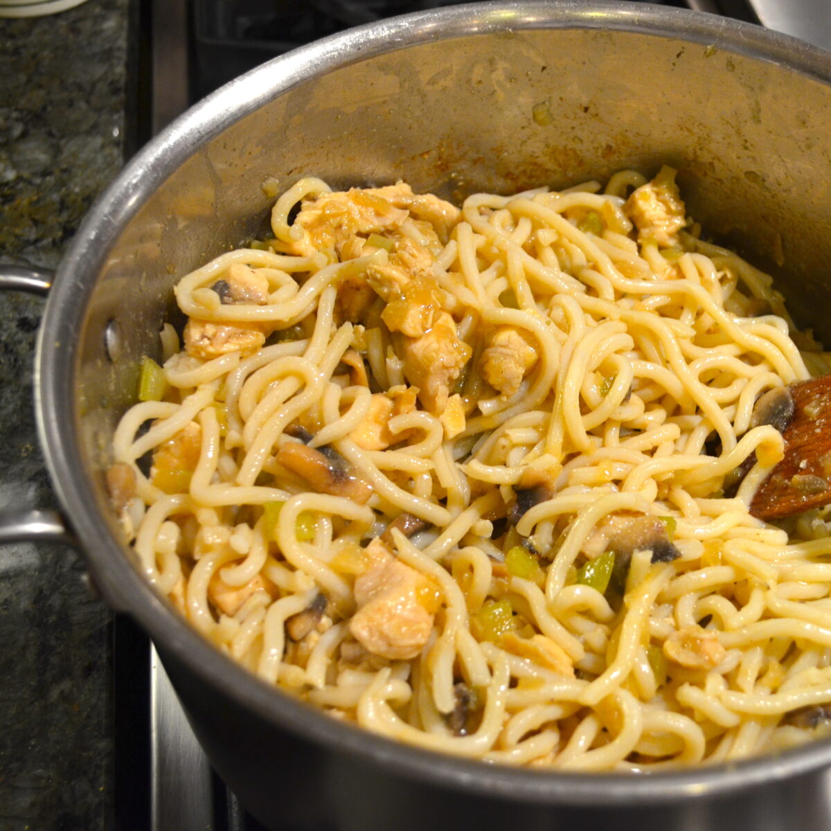 UDON NOODLES WITH CURRIED CHICKEN
