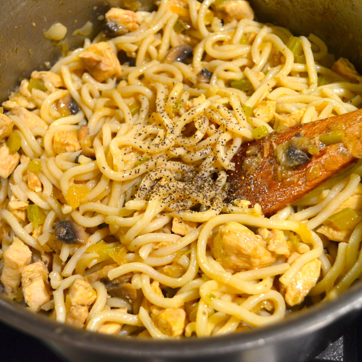 UDON NOODLES WITH CURRIED CHICKEN