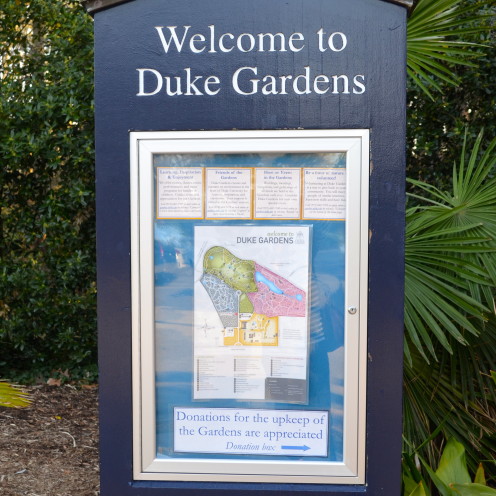 The Duke Gardens | Duke University | www.AfterOrangeCounty.com