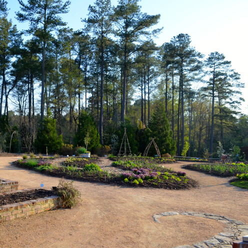 The Charlotte Brody Discovery Garden | Duke University Gardens | www.AfterOrangeCounty.com
