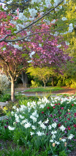 The Duke Gardens | www.AfterOrangeCounty.com