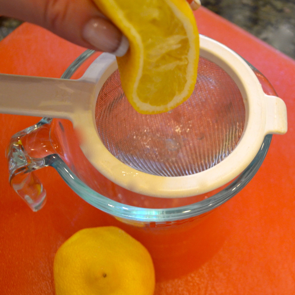 SPANISH STYLE ROSEMARY GIN FIZZ