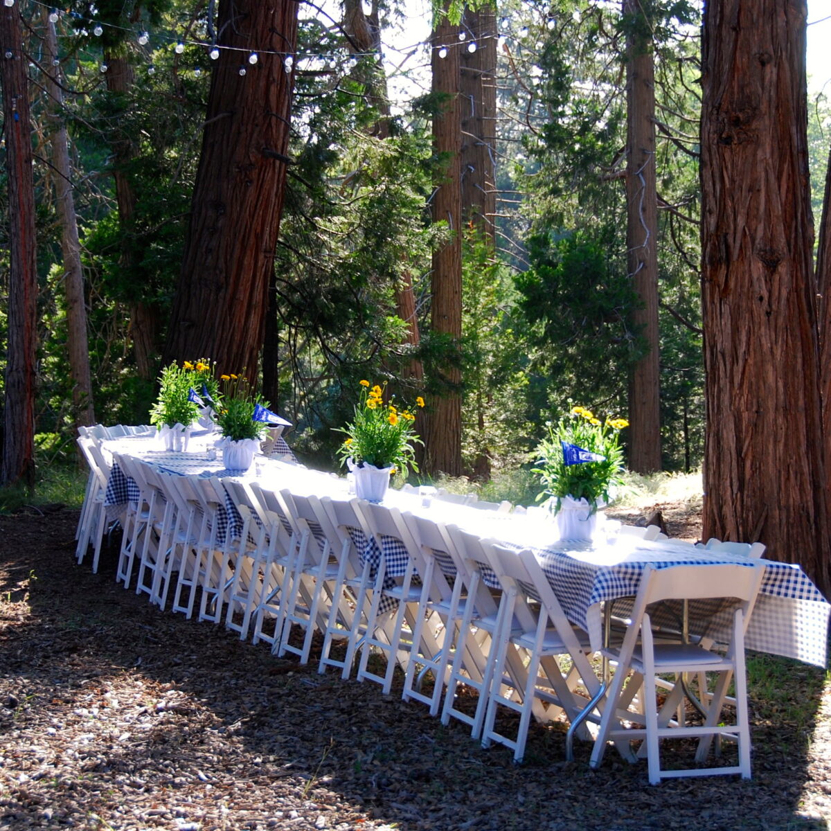 HOW TO THROW A GREAT GRADUATION PARTY