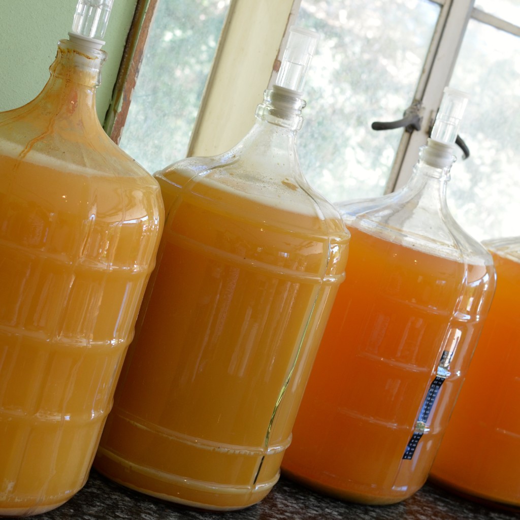 THE MAKING OF HARD APPLE CIDER