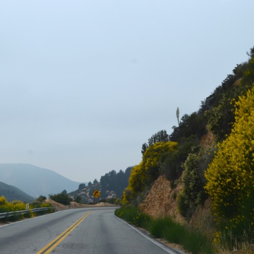 FROM 1 MILE HIGH CITY TO ANOTHER | #LakeArrowhead #California | www.AfterOrangeCounty.com