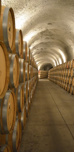 MY BIRTHDAY BREAKFAST AND WINE TASTING AFTERNOON | # Justin Vineyards & Winery | www.AfterOrangeCounty.com