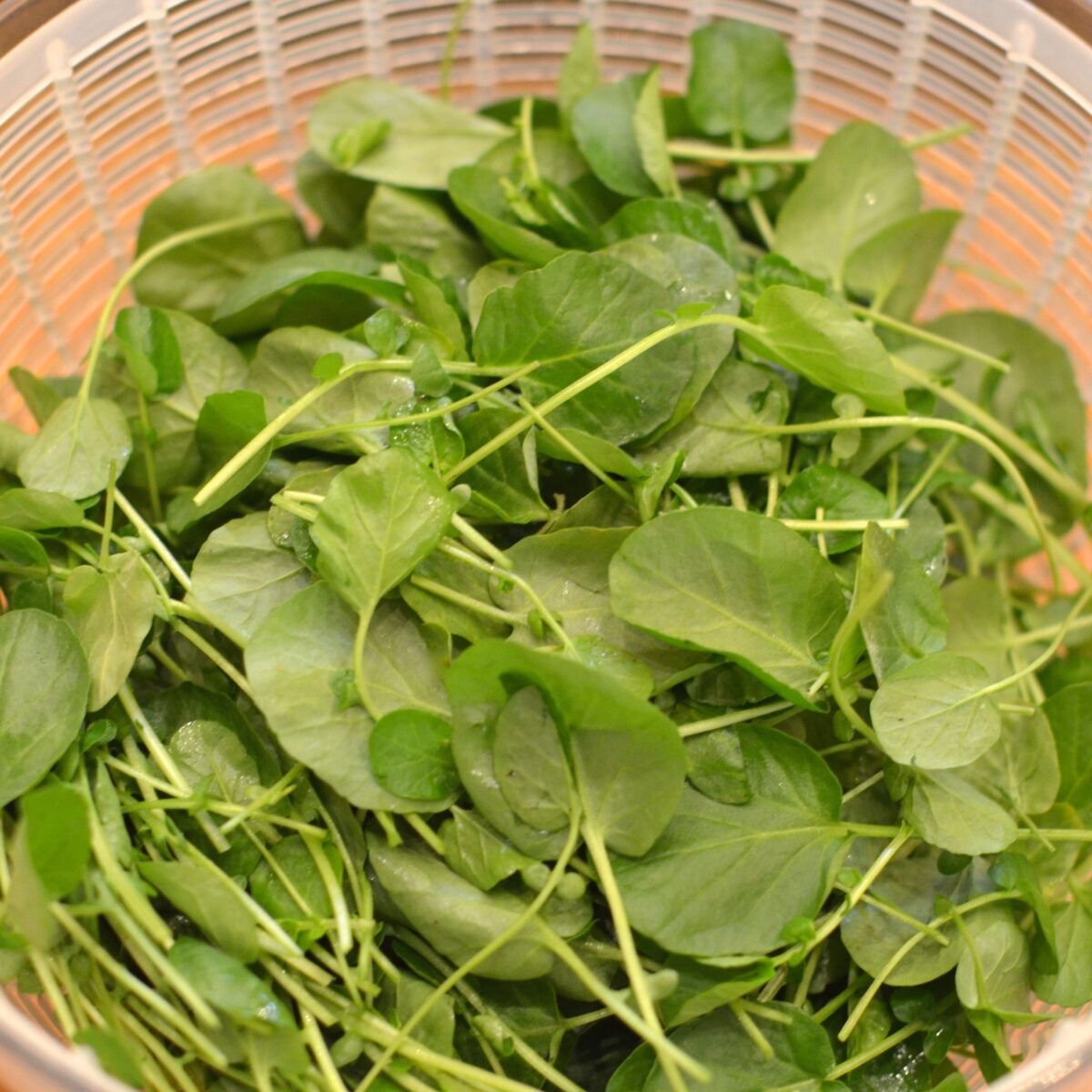 THE SOUP RECIPE YOU MUST MAKE FOR THE HOLIDAYS