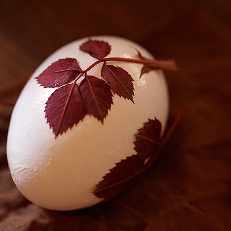20 TERRIFIC IDEAS FOR DECORATING EASTER EGGS | From Posie Gets Cozy |www.AfterOrangeCounty.com