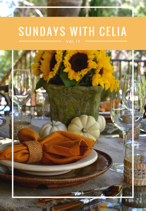 SUNDAYS WITH CELIA VOL 17 | A Fall Luncheon | www.AfterOrangeCounty.com