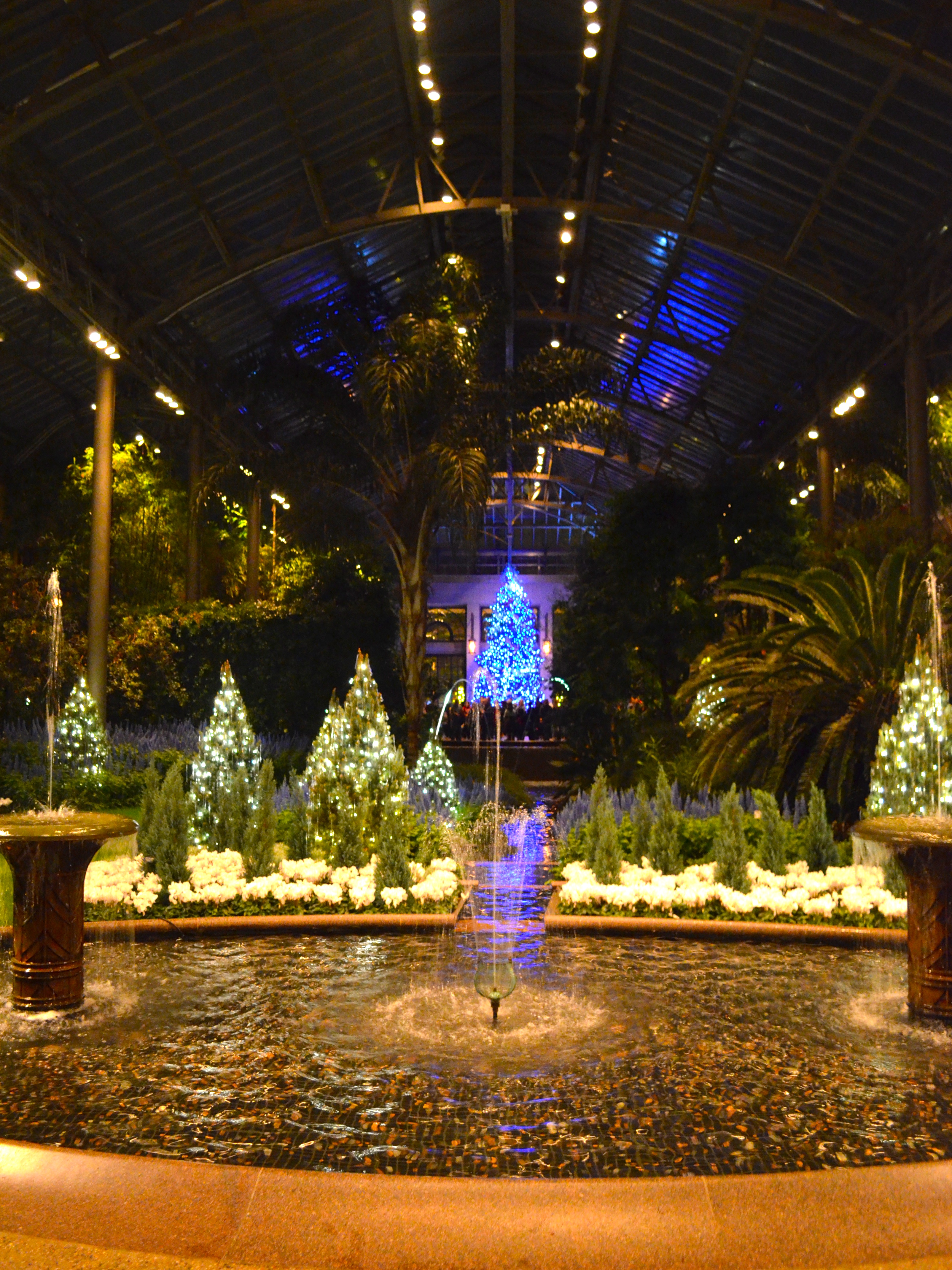 THE MAGNIFICENT LONGWOOD GARDENS AT CHRISTMAS