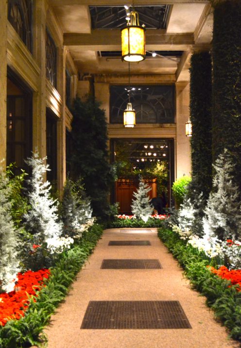 THE MAGNIFICENT LONGWOOD GARDENS AT CHRISTMAS | www.AfterOrangeCounty.com
