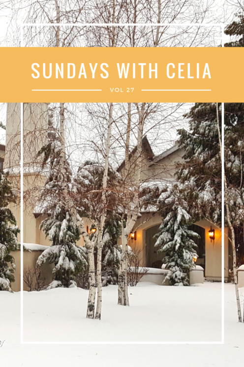 SUNDAYS WITH CELIA VOL 27 | My Home in the Snow | www.AfterOrangeCounty.com