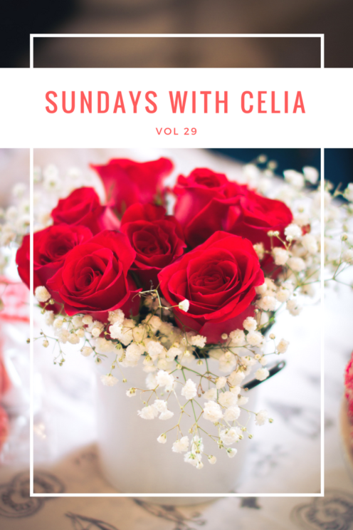 SUNDAYS WITH CELIA VOL 29 | Valentine Roses | www.AfterOrangeCounty.com