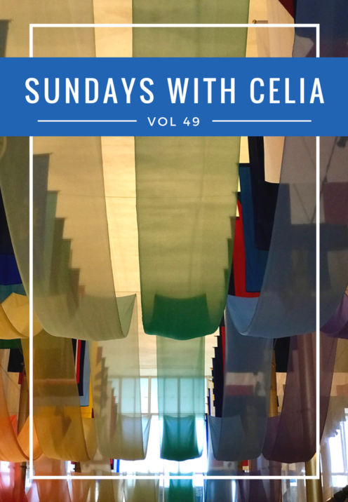 SUNDAYS WITH CELIA VOL 49 | The Kennedy Center Washington, DC | www.AfterOrangeCounty.com