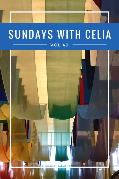 SUNDAYS WITH CELIA VOL 49 | The Kennedy Center Washington, DC | www.AfterOrangeCounty.com