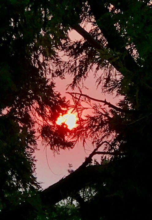 SUNDAYS WITH CELIA VOL 64 | A Smoky Red Sunset | www.AfterOrangeCounty.com