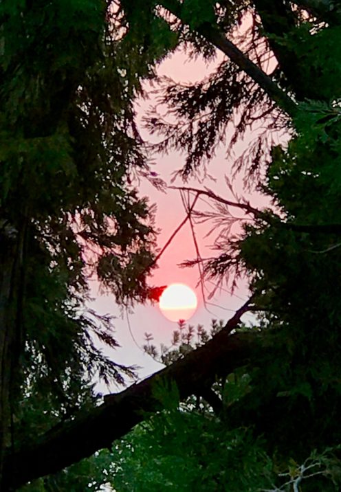 SUNDAYS WITH CELIA VOL 64 | A Smoky Red Sunset | www.AfterOrangeCounty.com