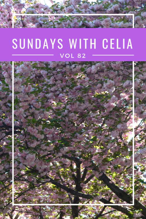SUNDAYS WITH CELIA VOL 82 | DC Cherry Blossoms | www.AfterOrangeCounty.com