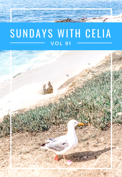 SUNDAYS WITH CELIA VOL 91 | La Jolla, CA | www.AfterOrangeCounty.com