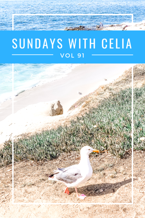 SUNDAYS WITH CELIA VOL 91 | La Jolla, CA | www.AfterOrangeCounty.com