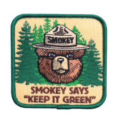BIG BEAR LAKE HOUSE KID'S ROOM REMODEL | Official Smoky Bear Embroidered Patch | www.AfterOrangeCounty.com