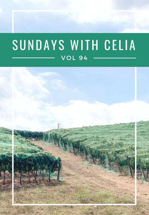 SUNDAYS WITH CELIA VOL 94 | Book Club at Fallbrook Winery | www.AfterOrangeCounty.com