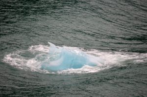 THE STUNNING SCENERY OF ALASKA'S TRACEY ARM FJORD | Endicott Arm |www.AfterOrangeCounty.com