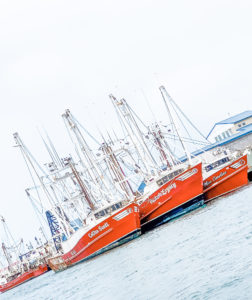 A VISIT TO BEAUFORT BY BOAT | Shrimp Boats | www.AfterOrangeCounty.com